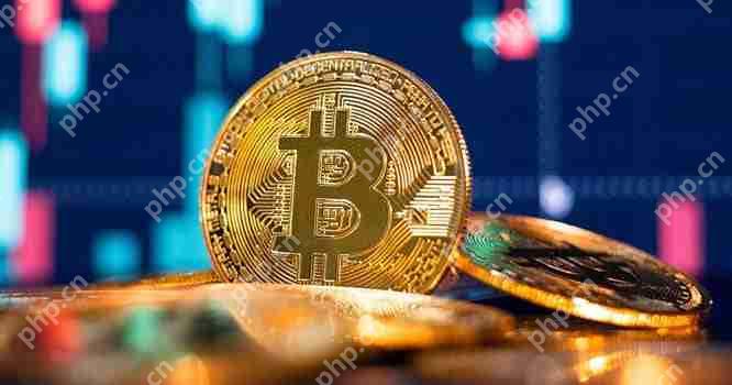 巴基斯坦的比特币价格