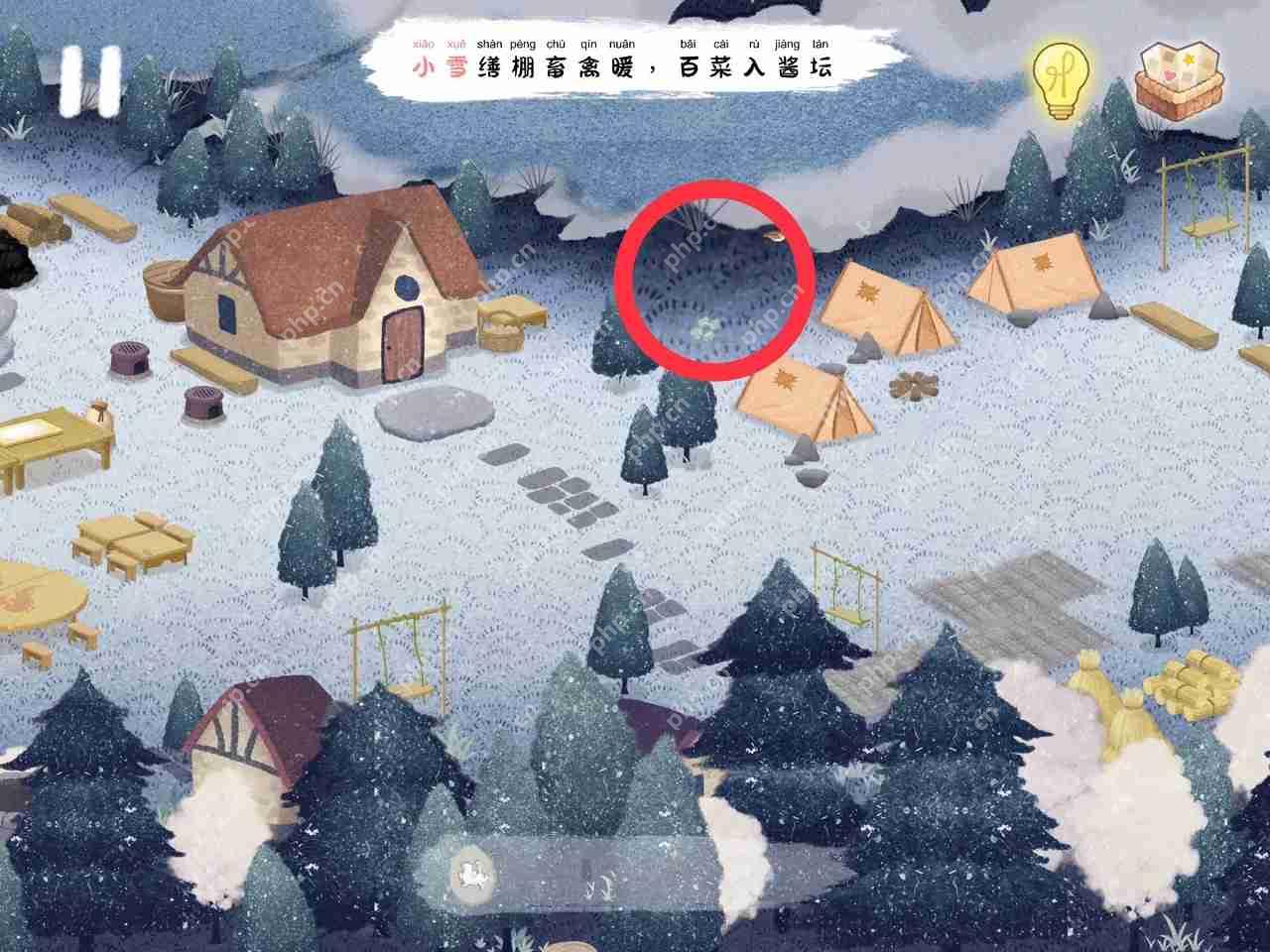 四季之春四叶草位置大全