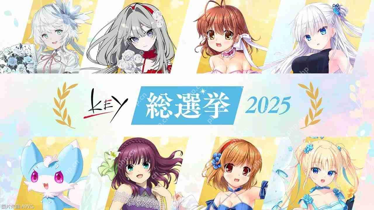 “Key总选举2025”公布最终结果