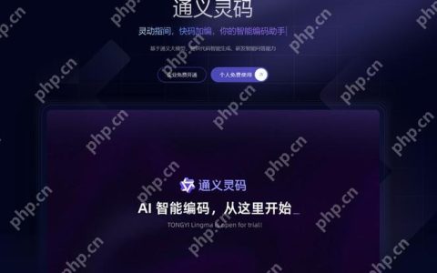 阿里通义灵码怎么样安全吗