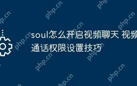 soul怎么开启视频聊天 视频通话权限设置技巧