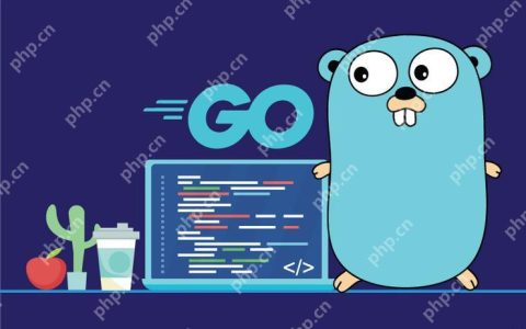 如何利用 Go 语言实现高效的分布式系统通信？