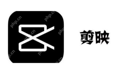 剪映左上角水印怎么关闭 剪映左上角水印关闭方法