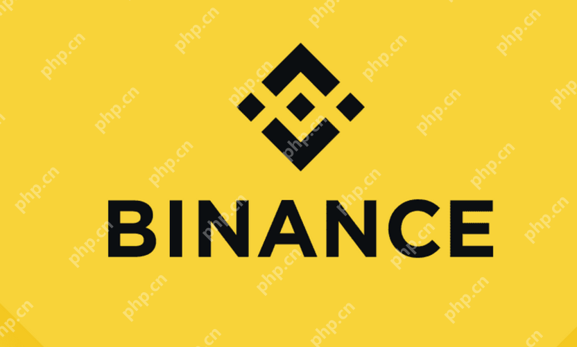 2025币安在线网页地址