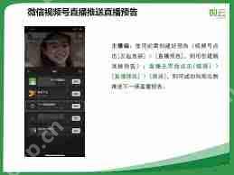 视频号如何查看在线人数