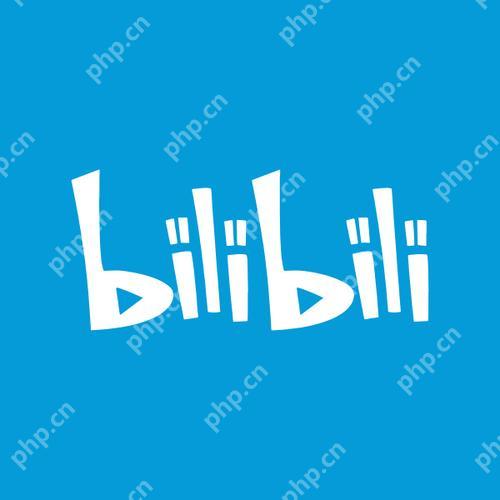 b站如何允许共同播放 开启共同播放功能详细操作步骤分享