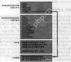 如何深入解析BMP文件格式