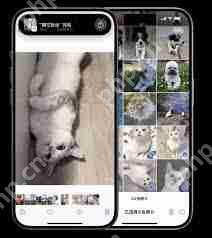 iOS17新功能详解：两部iPhone如何快速分享照片