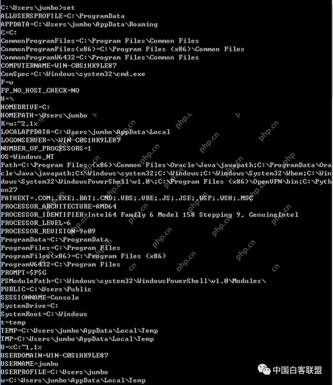 绕过黑名单的命令执行tips(二)