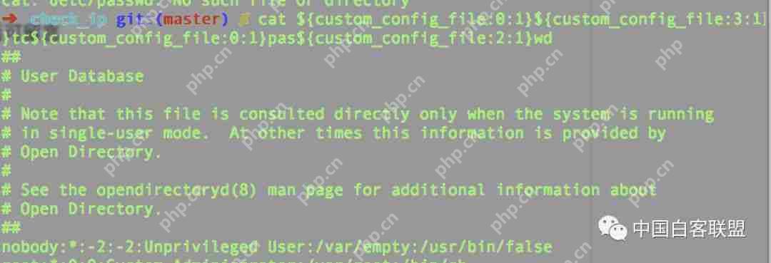 绕过黑名单的命令执行tips(二)