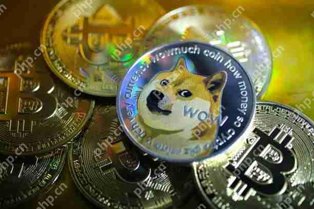 Dogecoin（Doge）图表模式在上一个看涨阶段重复时提示
