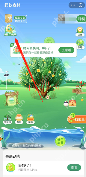 支付宝蚂蚁森林六周年回顾在哪看