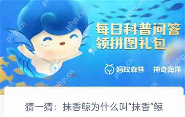 支付宝神奇海洋抹香鲸为什么叫抹香鲸