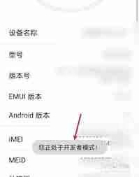 荣耀开发者模式怎么打开插图 荣耀开发者模式怎么打开