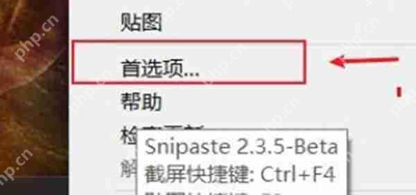 snipaste怎么设置开机自启