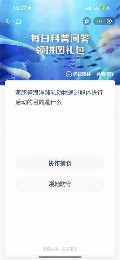 支付宝神奇海洋8.21日答案是什么