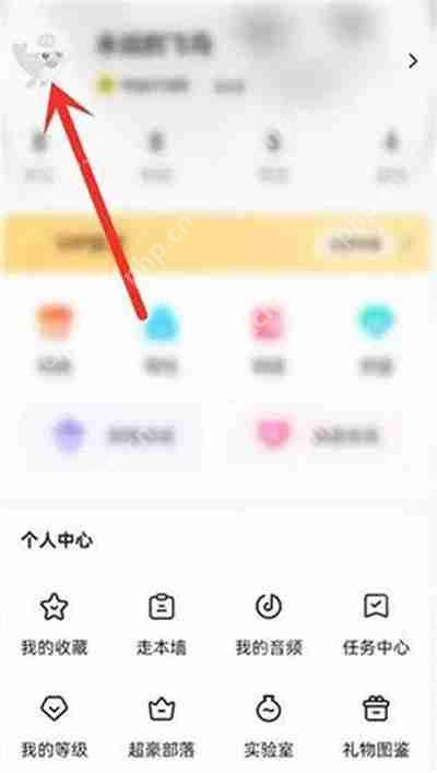 戏鲸如何公开pia戏留影机