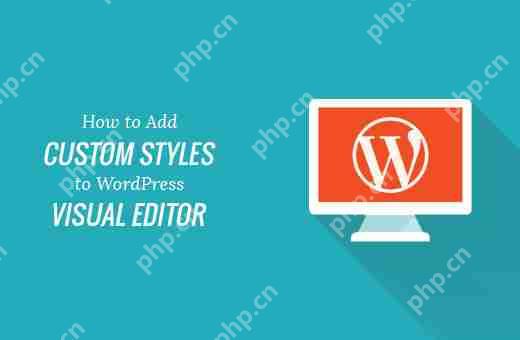 如何将自定义样式添加到 WordPress 可视化编辑器