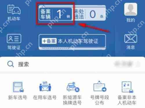12123电子免检标志怎么看
