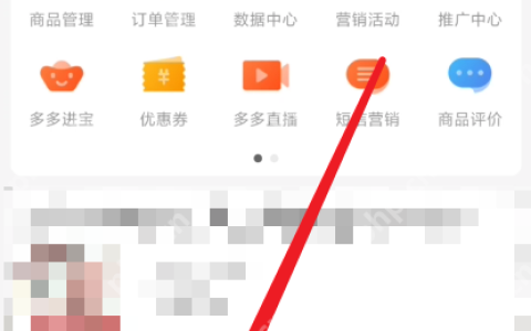拼多多商家版评价总数在哪里看