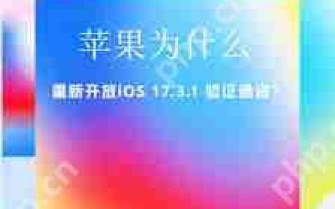 iOS17.3.1开放验证通道