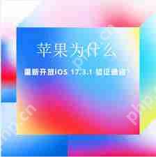 iOS17.3.1开放验证通道