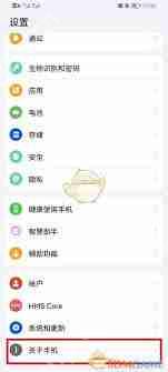 鸿蒙系统开发者选项在哪