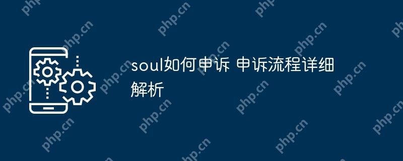 soul如何申诉 申诉流程详细解析插图 soul如何申诉 申诉流程详细解析