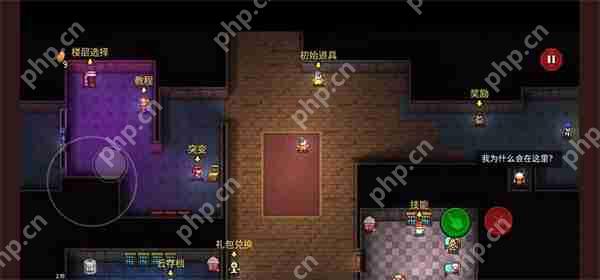 迷城陆区技能推荐与资源管理攻略分享