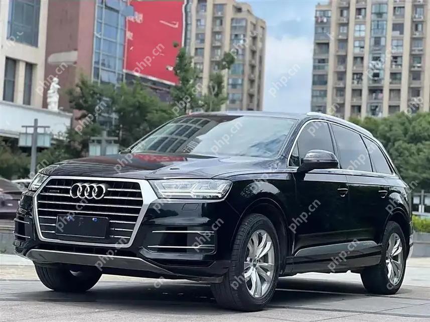 腿托+腰托联动设置：奥迪Q7座椅人体工学指南