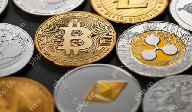 虚拟币交易平台 全球最大数字货币交易平台TOP10排行插图 虚拟币交易平台 全球最大数字货币交易平台TOP10排行 - 电脑知识网