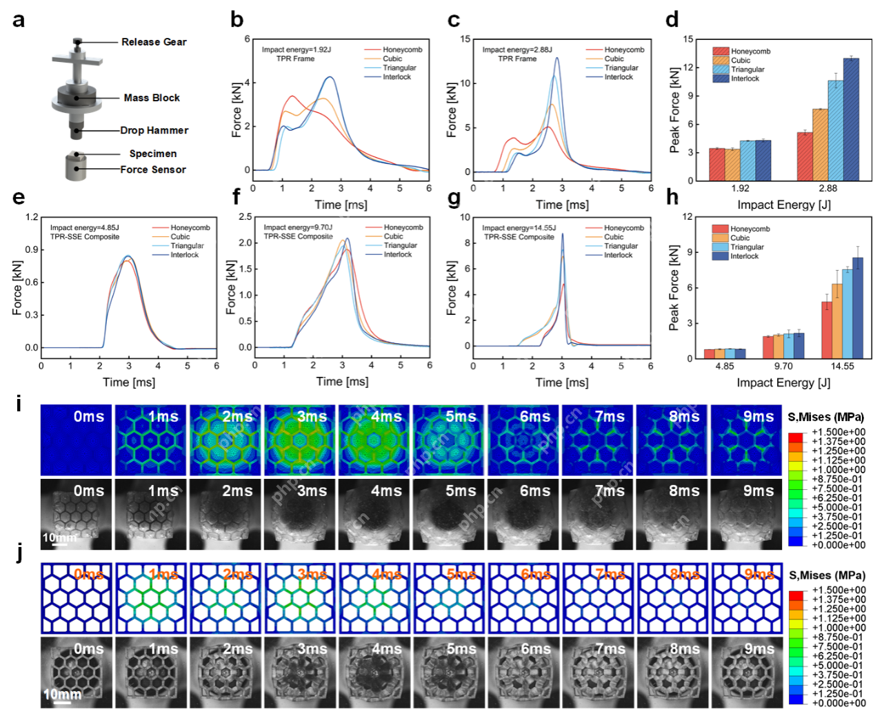 中国科学技术大学实现剪切变硬弹性体的仿生结构设计