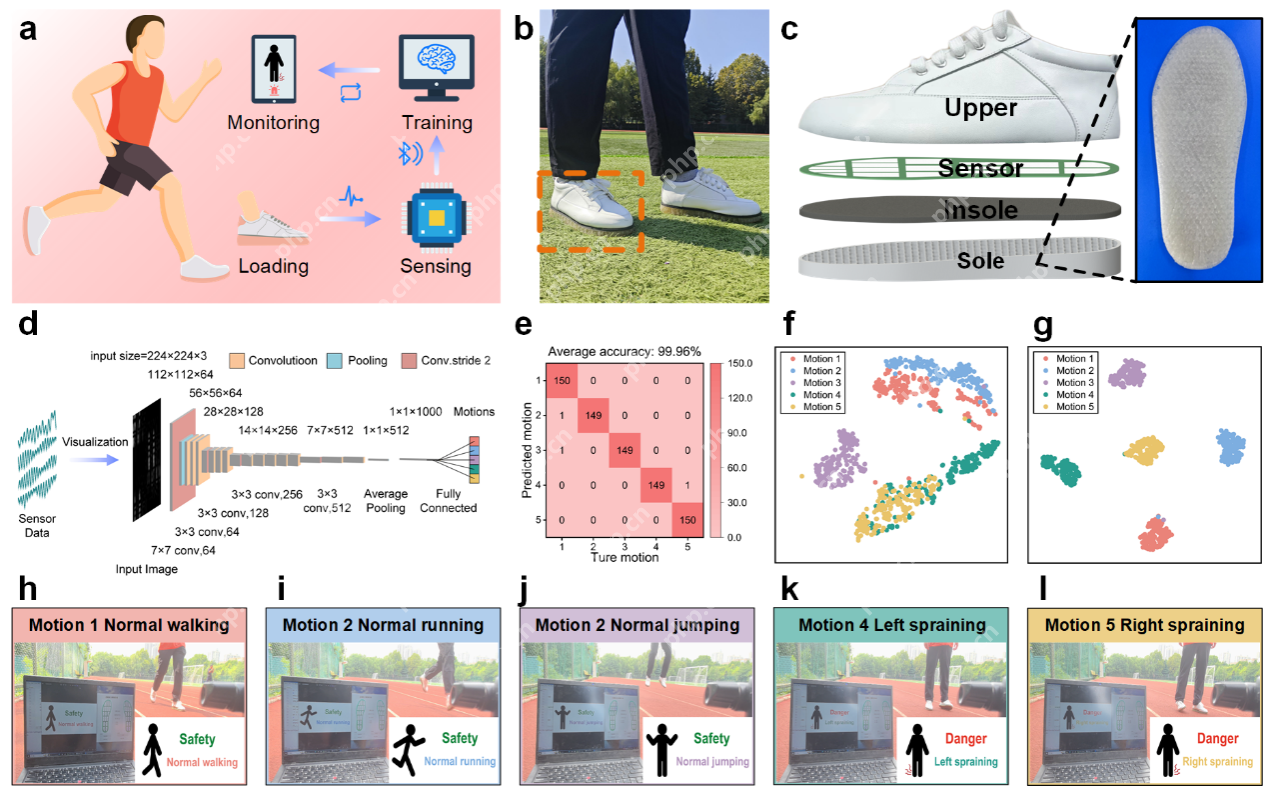 中国科学技术大学实现剪切变硬弹性体的仿生结构设计