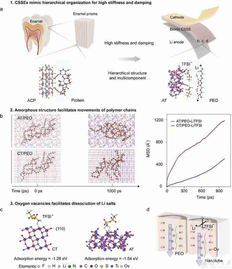 复旦大学赵婕课题组开发多尺度工程仿生固态电解质，打破刚度-阻尼权衡