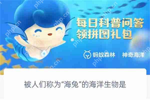 支付宝神奇海洋被人成为海兔的海洋生物是什么