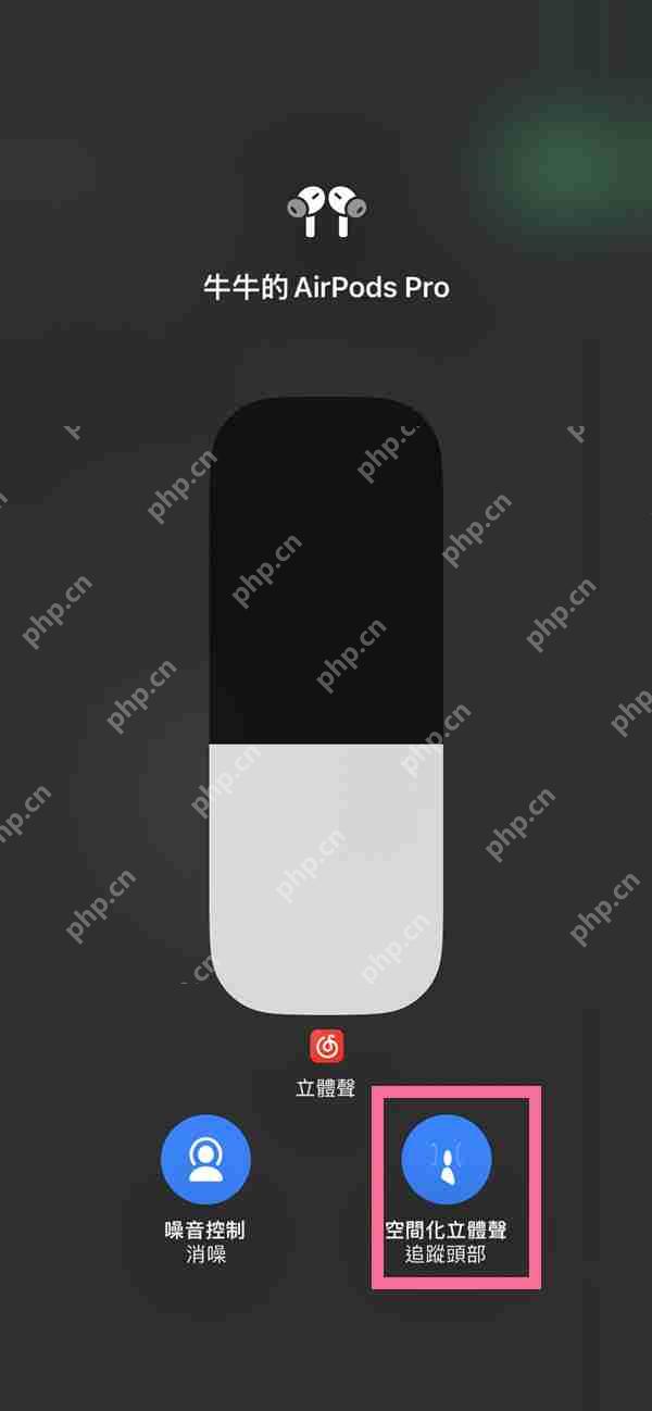 苹果14空间音频怎么使用