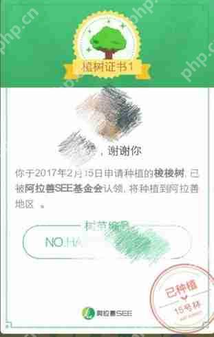 蚂蚁森林有什么用插图1 蚂蚁森林有什么用