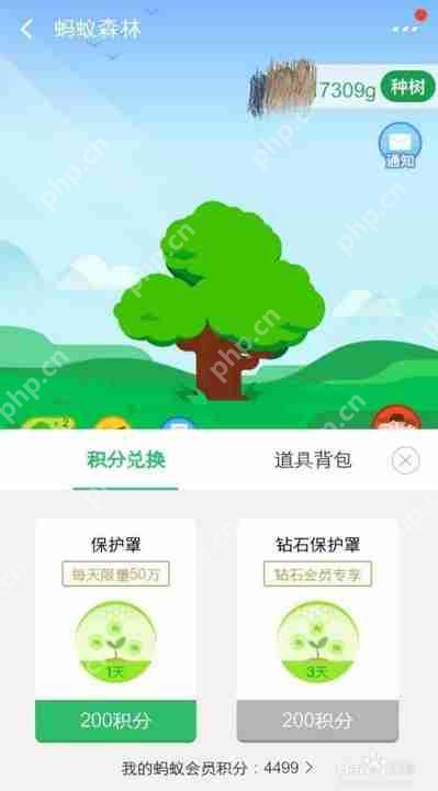 蚂蚁森林有什么用插图 蚂蚁森林有什么用