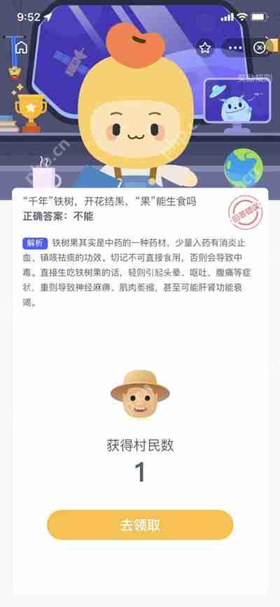 千年铁树开花结果果能生食吗