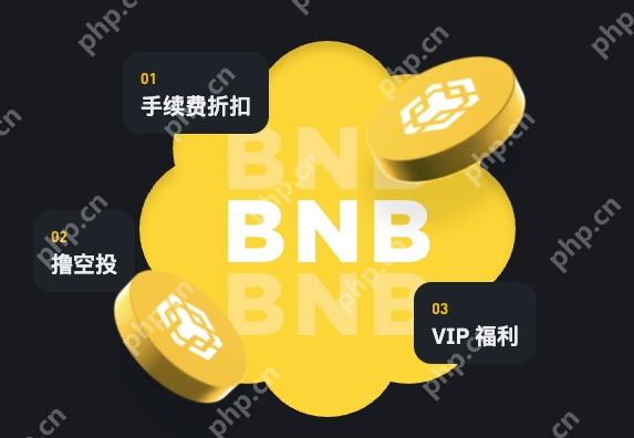 手握 BNB 别错过！SXT 空投开启资产增值新通道 - 电脑知识网
