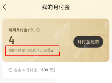 抖音月付金是什么