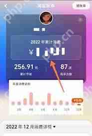 淘宝人生账单查询位置