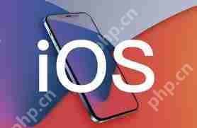 苹果iOSiPadOS17.3开发者预览版更新了哪些内容插图 苹果iOSiPadOS17.3开发者预览版更新了哪些内容