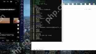 抖音评论的重要性有哪些