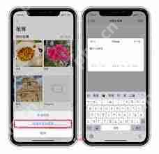 iPhone共享相簿功能使用方法