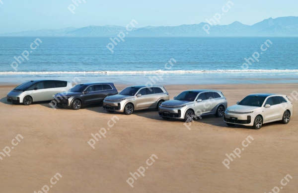 2025Q1售价30万以上自主品牌排行 小米第九问界第三