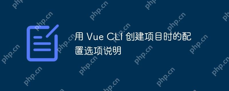 用 Vue CLI 创建项目时的配置选项说明