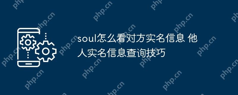 soul怎么看对方实名信息 他人实名信息查询技巧