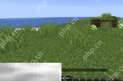 我的世界怎么关闭指令字幕 界面显示设置技巧分享