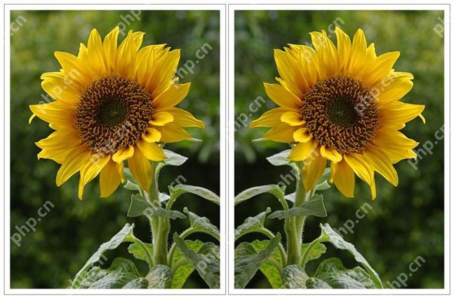 游戏中自带的镜像文件是什么意思